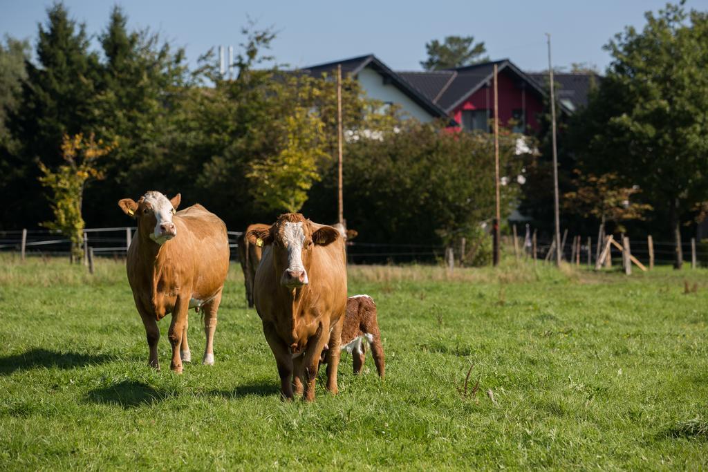 Landgasthof Gut Marienbildchen Hotell Roetgen Eksteriør bilde